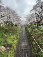 山北鉄道公園 2-2